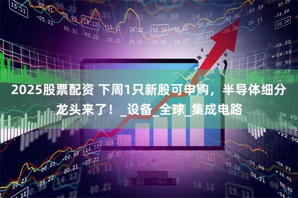 2025股票配资 下周1只新股可申购，半导体细分龙头来了！_设备_全球_集成电路